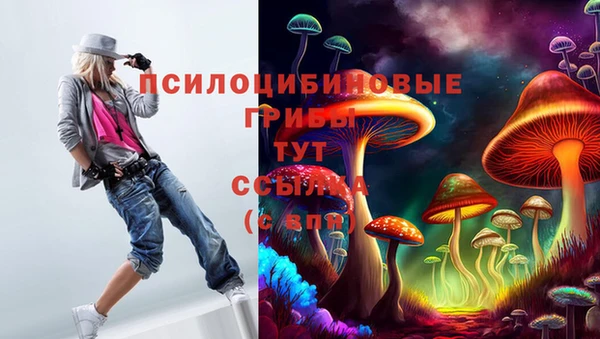 прущие грибы Аркадак
